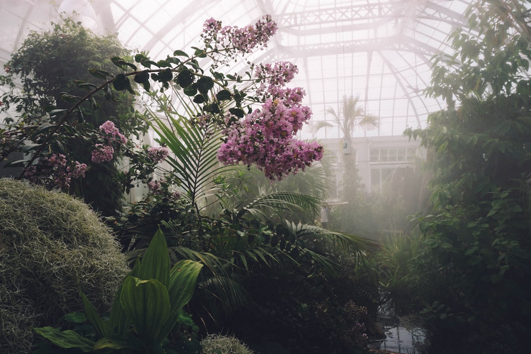 Photo Greenhouse